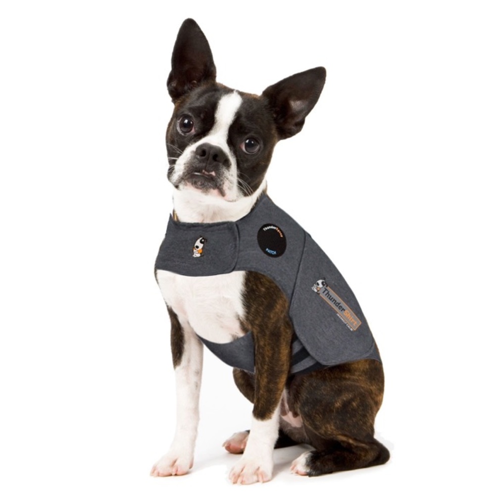 ThunderShirt for Dogs